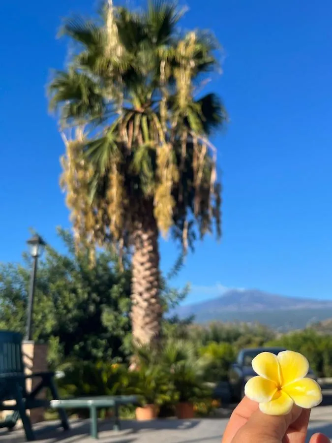 La Pomelia B&B Sofia トラッピテッロ 0*,  イタリア