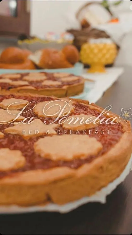 Bed & Breakfast La Pomelia B&B Sofia Trappitello