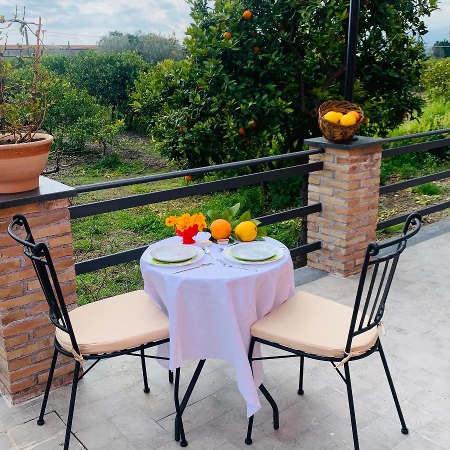 La Pomelia B&B Sofia Trappitello Bed & Breakfast