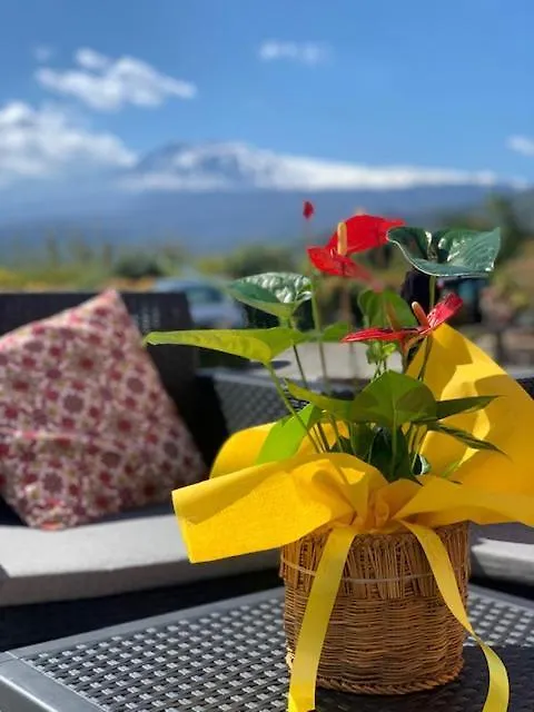 La Pomelia B&B Sofia Trappitello Bed & Breakfast