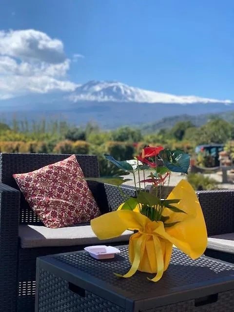 Bed & Breakfast La Pomelia B&B Sofia Trappitello Italy