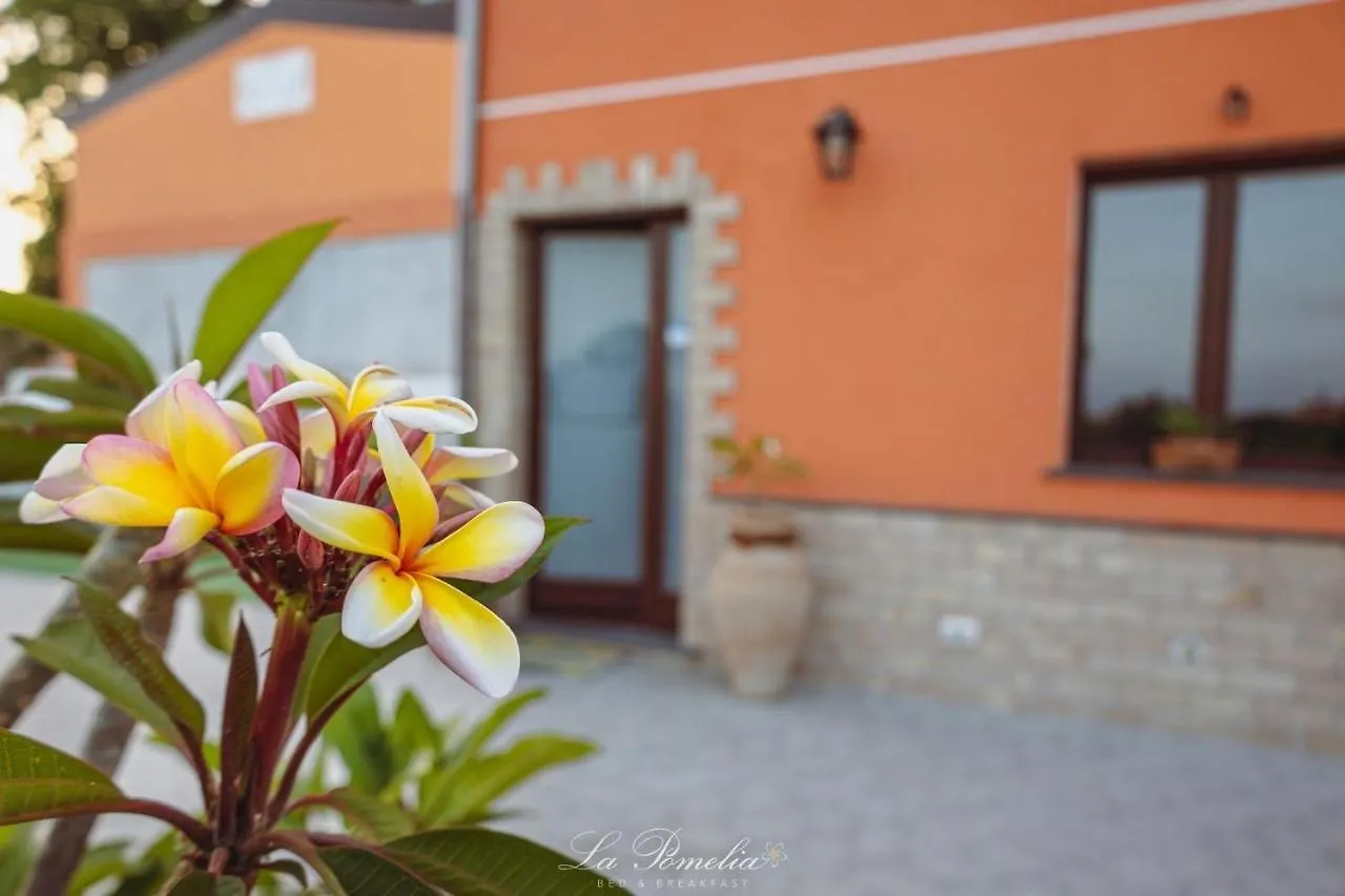 Bed & Breakfast La Pomelia B&B Sofia Trappitello